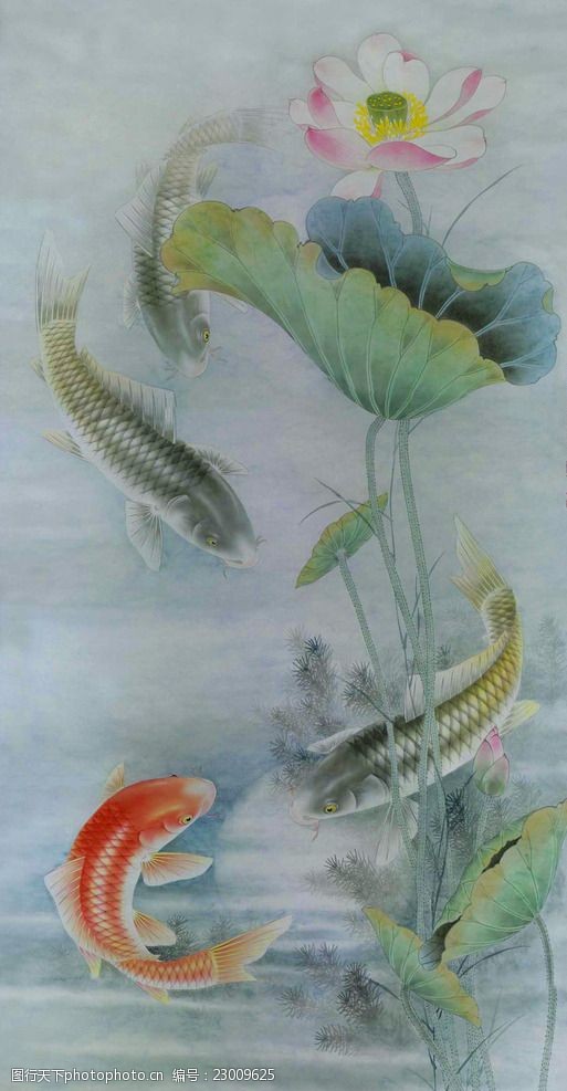 工笔画荷花鲤鱼