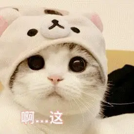 猫咪表情包多图