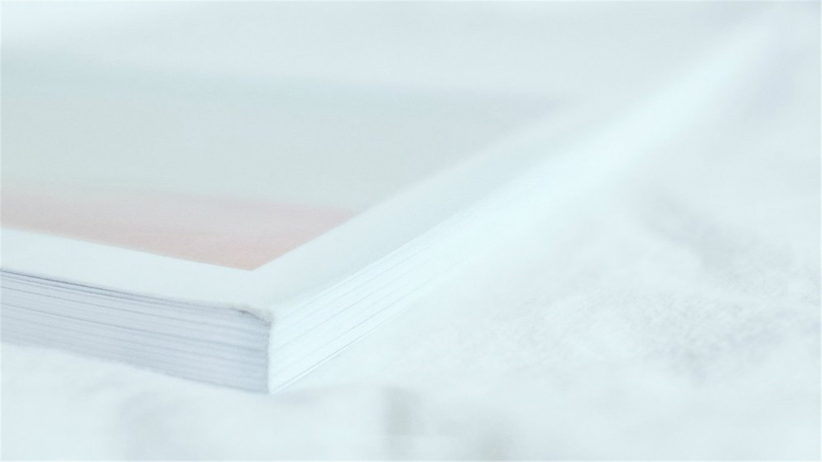 小清新白色治愈系静物高清电脑壁纸下载