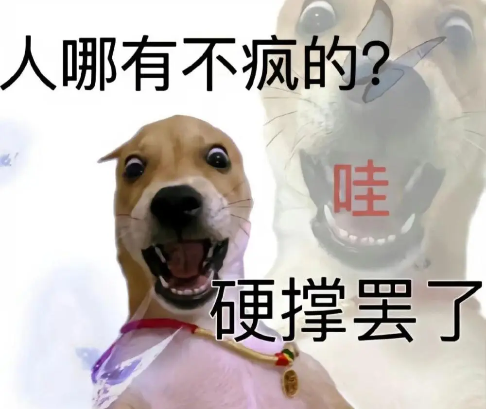 我的一天 如『搞笑实用表情包』所示_(:з)∠)__cr_网络_生活