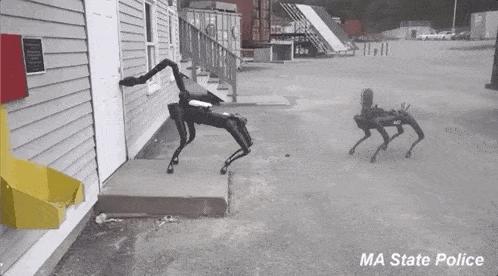为警察挡子弹波士顿动力机器狗spot在对峙中被射杀避免了潜在的流血