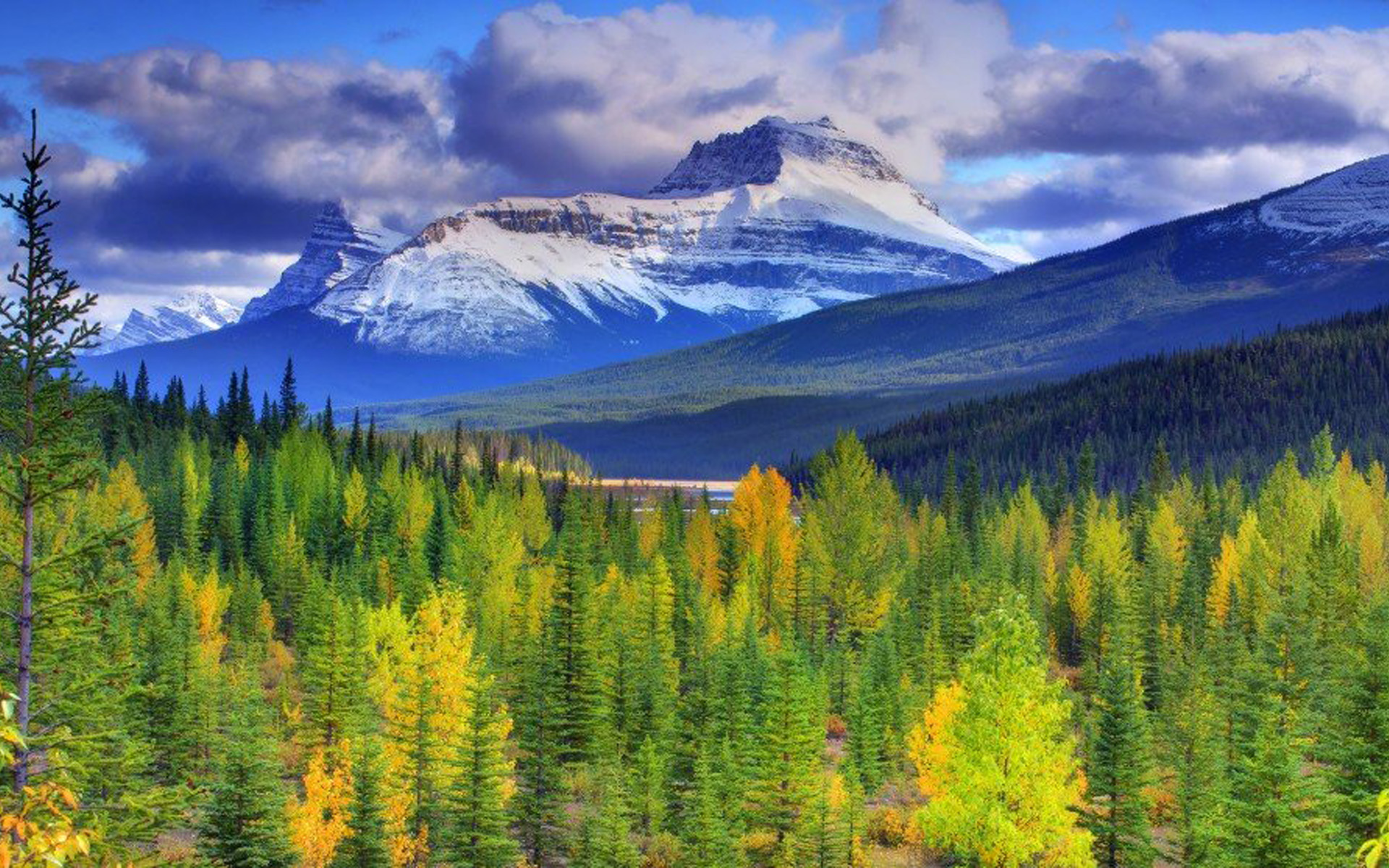 护眼的自然美景图片非常适合做壁纸哦~~喜欢风景类壁纸就赶紧来美桌网