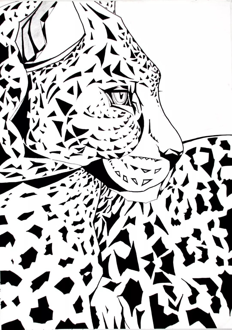 绘画专业班课程回顾 | 动物创意黑白装饰画