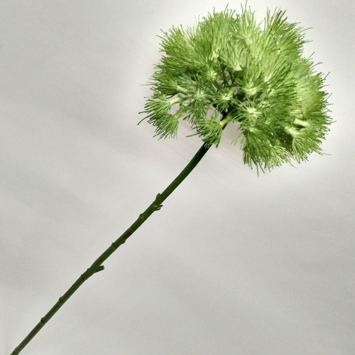 厂家直销单支91头蒲公英 仿真花仿真绿植 插花花材假花 绢花批发