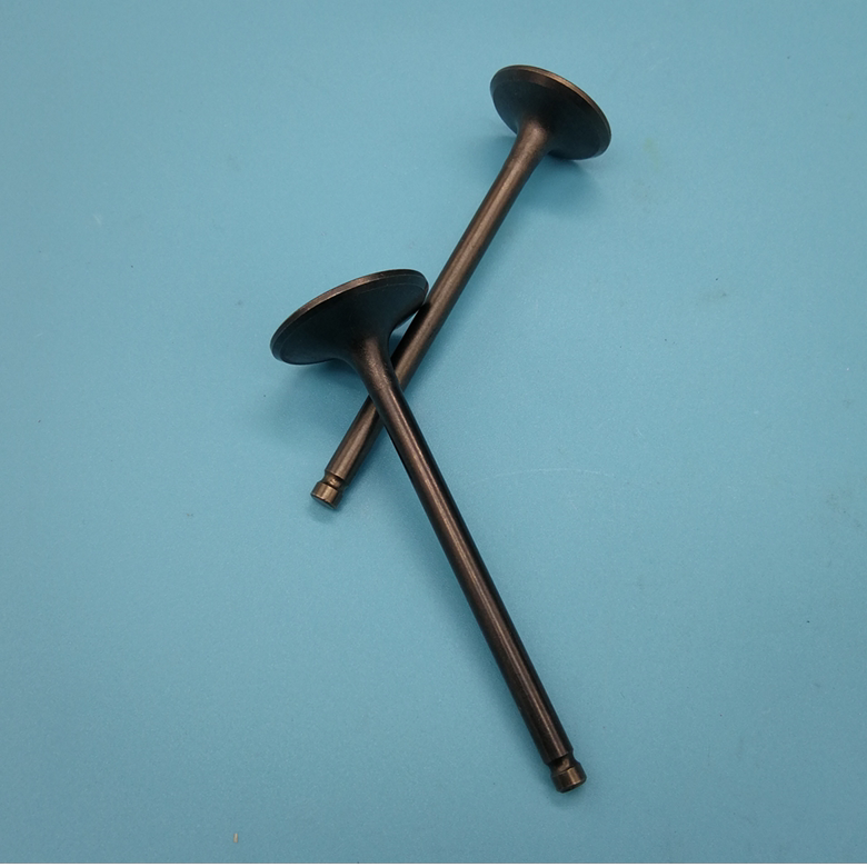 包邮摩托车配件cg125150 200 250气门gy6125jh70 110宗申力帆隆鑫