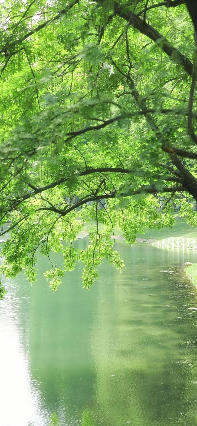 壁纸新鲜出炉的锁屏壁纸哦