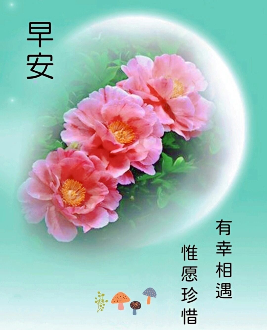 早安问候图片 有幸相遇,惟愿珍惜; 遇见真你,还见真我!