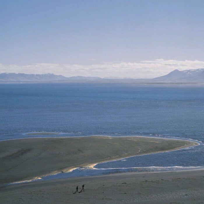 有没有什么惊艳的极简微信头像? - 知乎