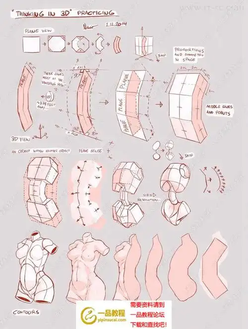 漫画人体结构比例辅助线绘画参考图