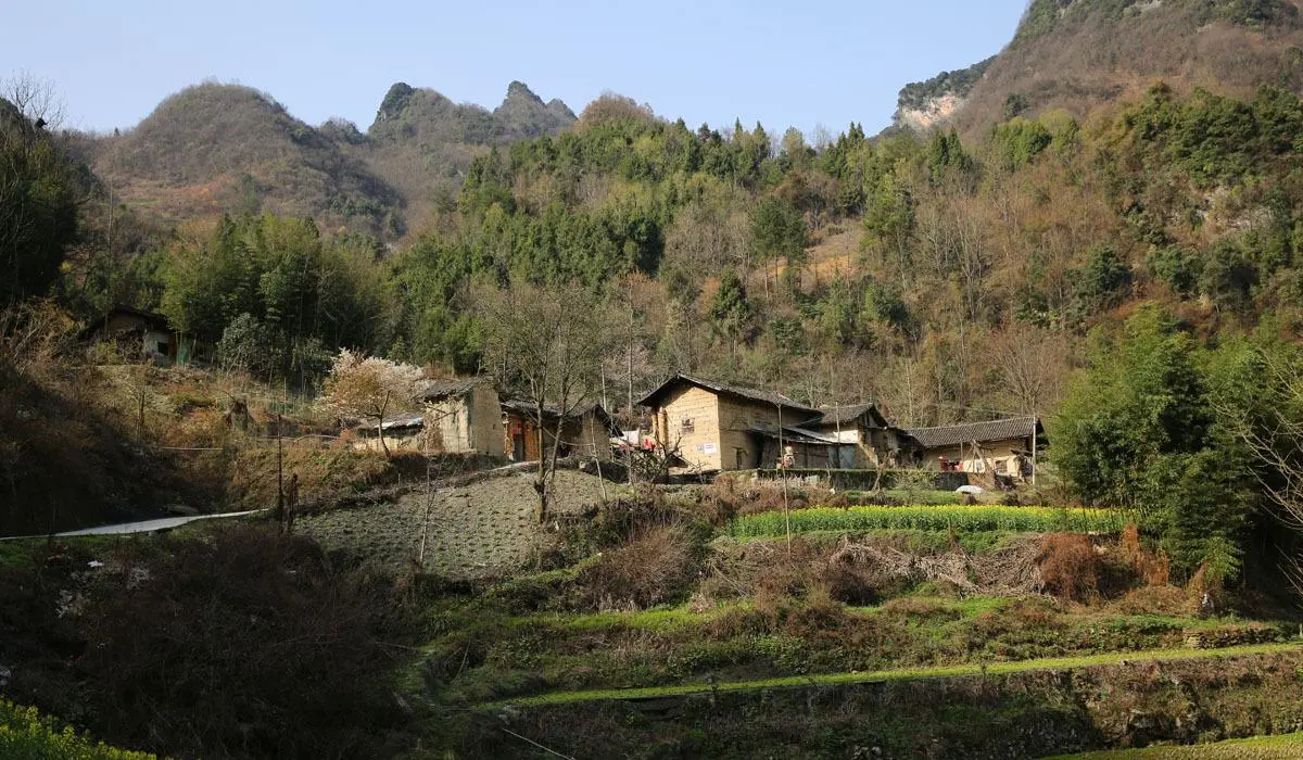 连载缘尽情未了15