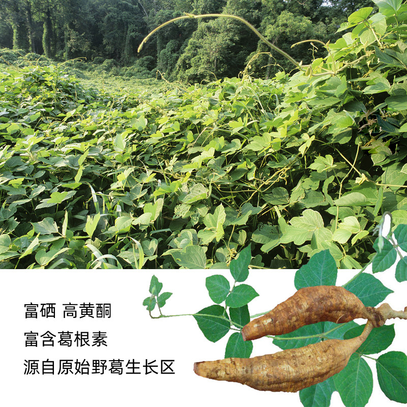 野生纯葛根无添加天然真柴葛根粉恩恩施土特产早餐葛根粉