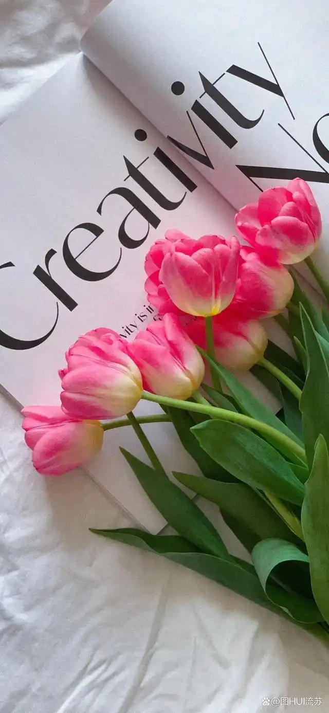 超美花系小清新壁纸