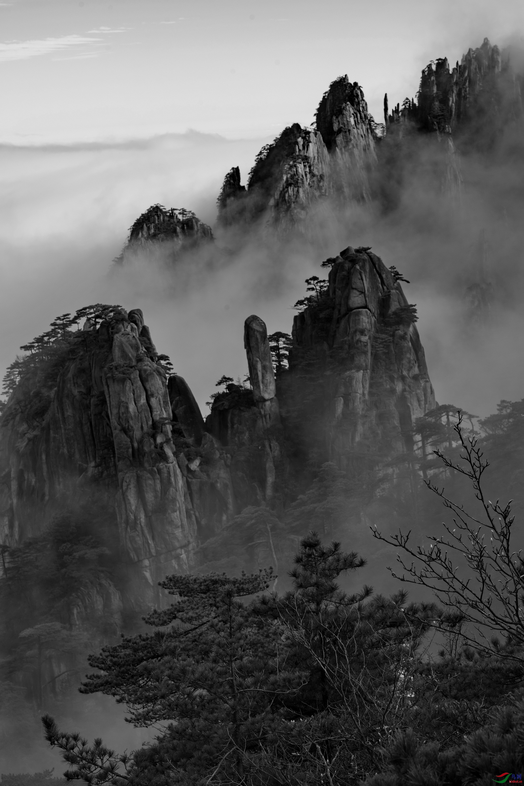 [风光] 黄山~~始信峰--祝贺老师佳作荣获黑白影像首页精华!