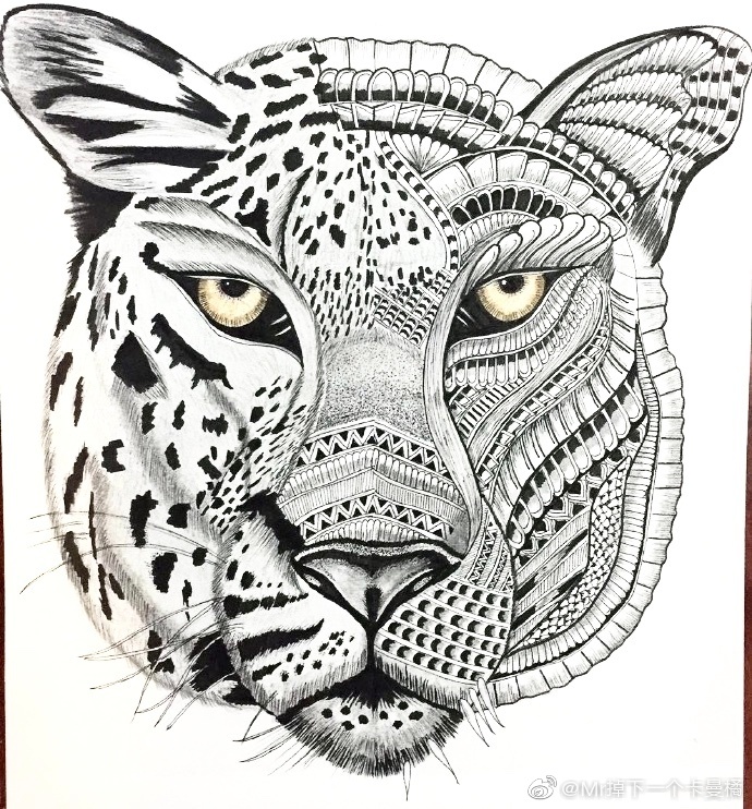 动物黑白装饰画 | zahra goulamhoussen #少儿美术教程参考[超话]