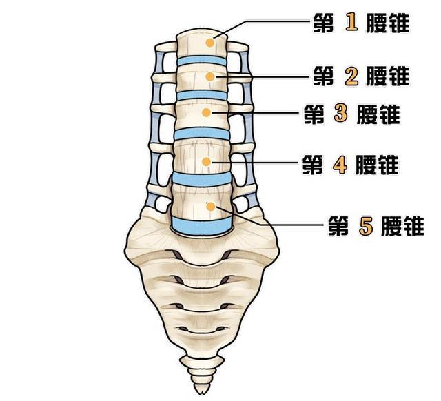 骨科专家劝告:4个行为是在给腰椎"上酷刑",希望你趁早停下来
