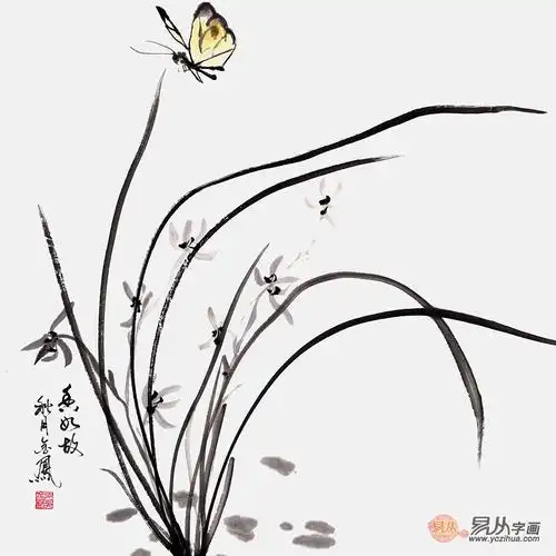 张金凤写意花鸟画 斗方兰花图《香如故》