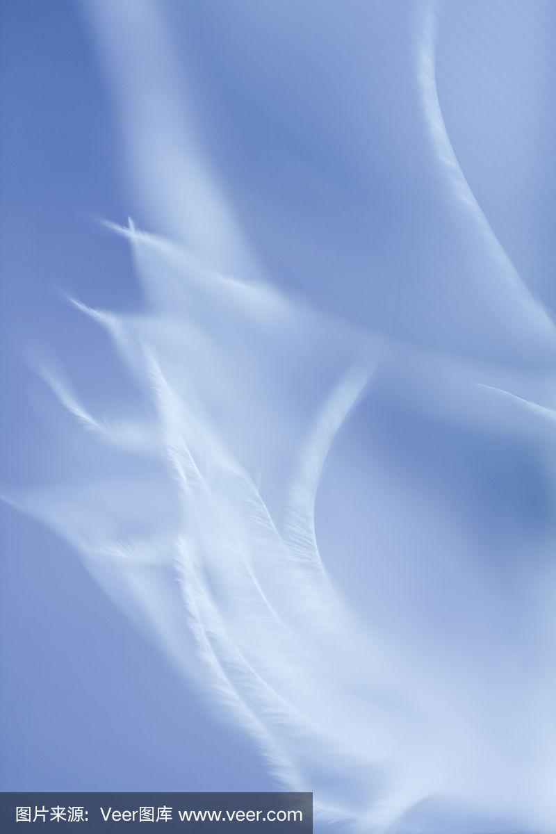 浅蓝色羽毛背景.不聚焦的羽毛纹理.
