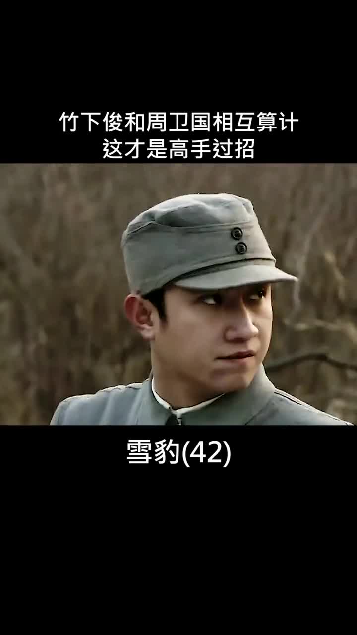 竹下俊约见周卫国两人爱恨交加雪豹文章我的观影报告下集更精彩