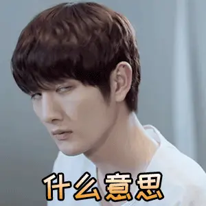 什么意思的聊天动态表情图