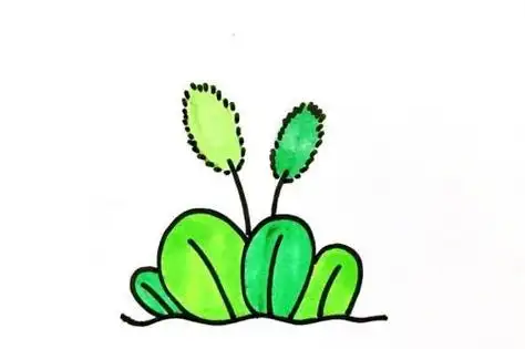 彩色简笔画,植物简笔画,狗尾草简笔画,简单简笔画,简笔画图片