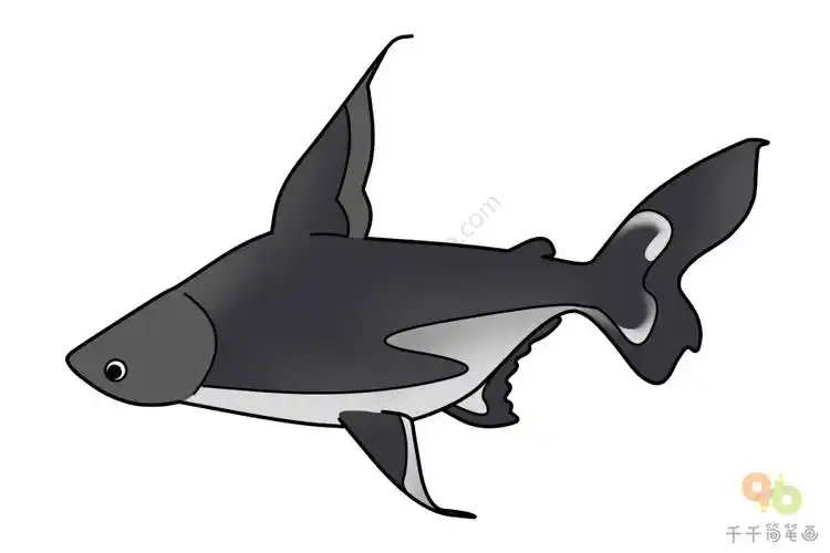 虎头鲨简笔画