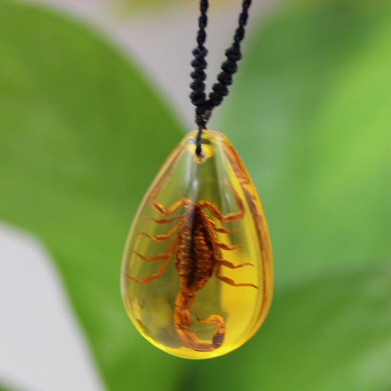 京选甄品蝎子人工琥珀项链真昆虫标本吊坠创意装饰品生日节日礼物渐变