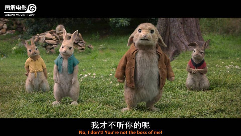图解电影《比得兔》可爱又可恨-第16页-影视抢先看-杭州19楼