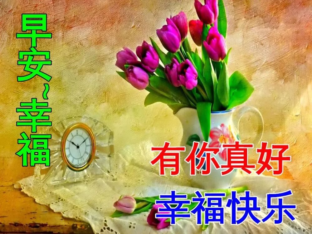 折射成七色,于是我陶醉在五颜六色的光圈里友谊是红十字会,我拥有它