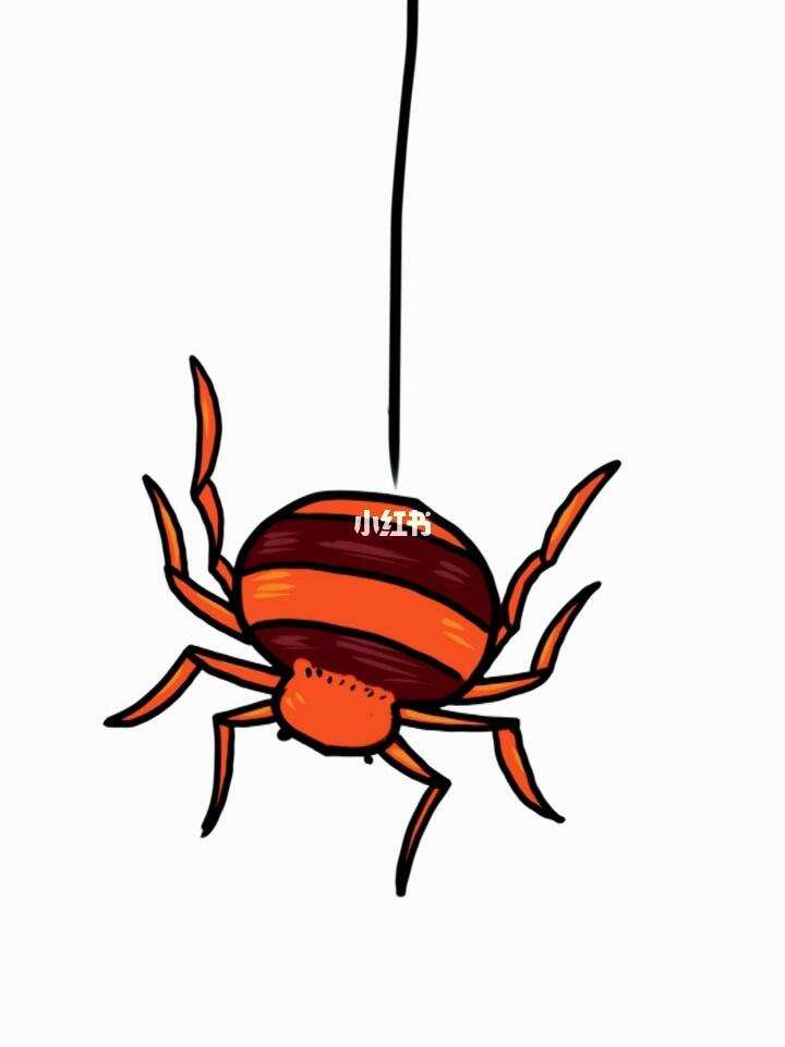 这样画蜘蛛简笔画更简单哦