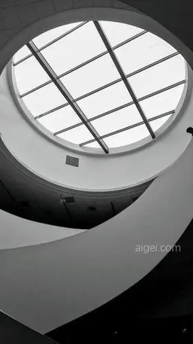 白色天花板(white ceiling)