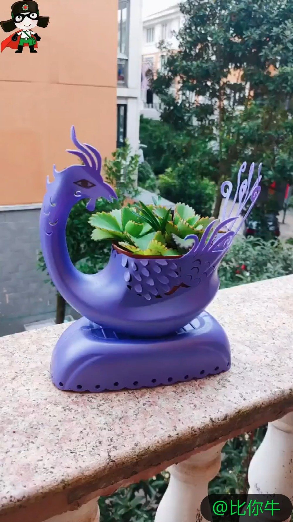 洗衣液瓶千万别扔改造一下做个凤凰花盆