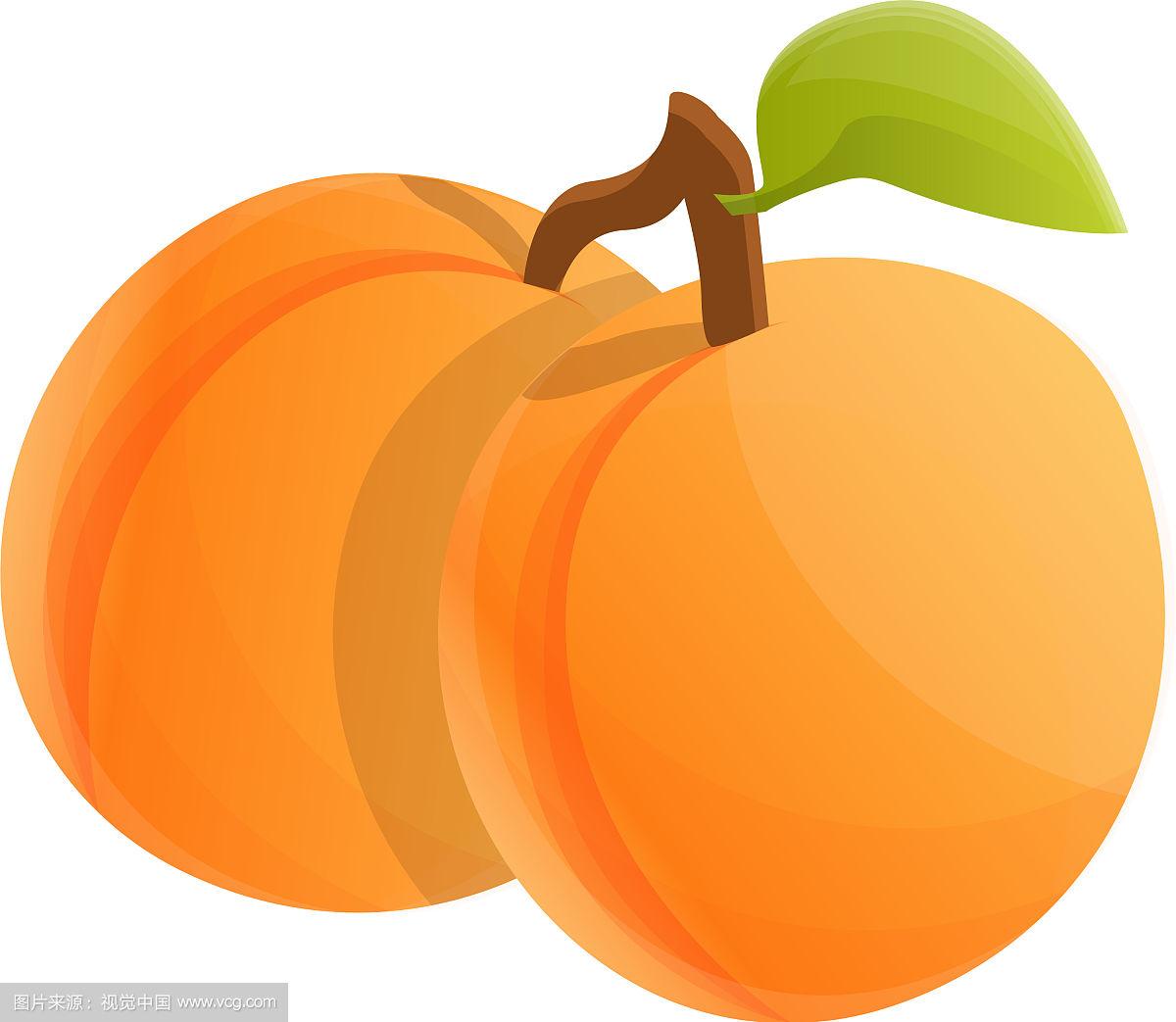 两个全杏图标卡通风格