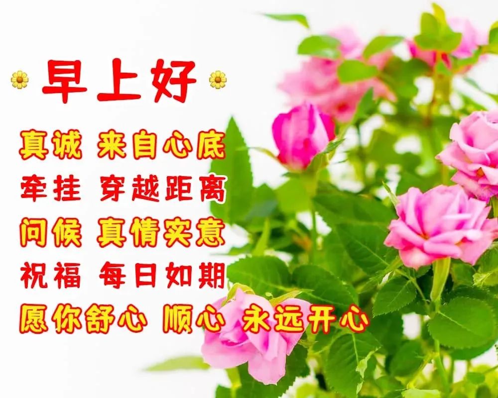 原创8张有创意的朋友早上好免打字图片温馨的早上好问候语图片带字