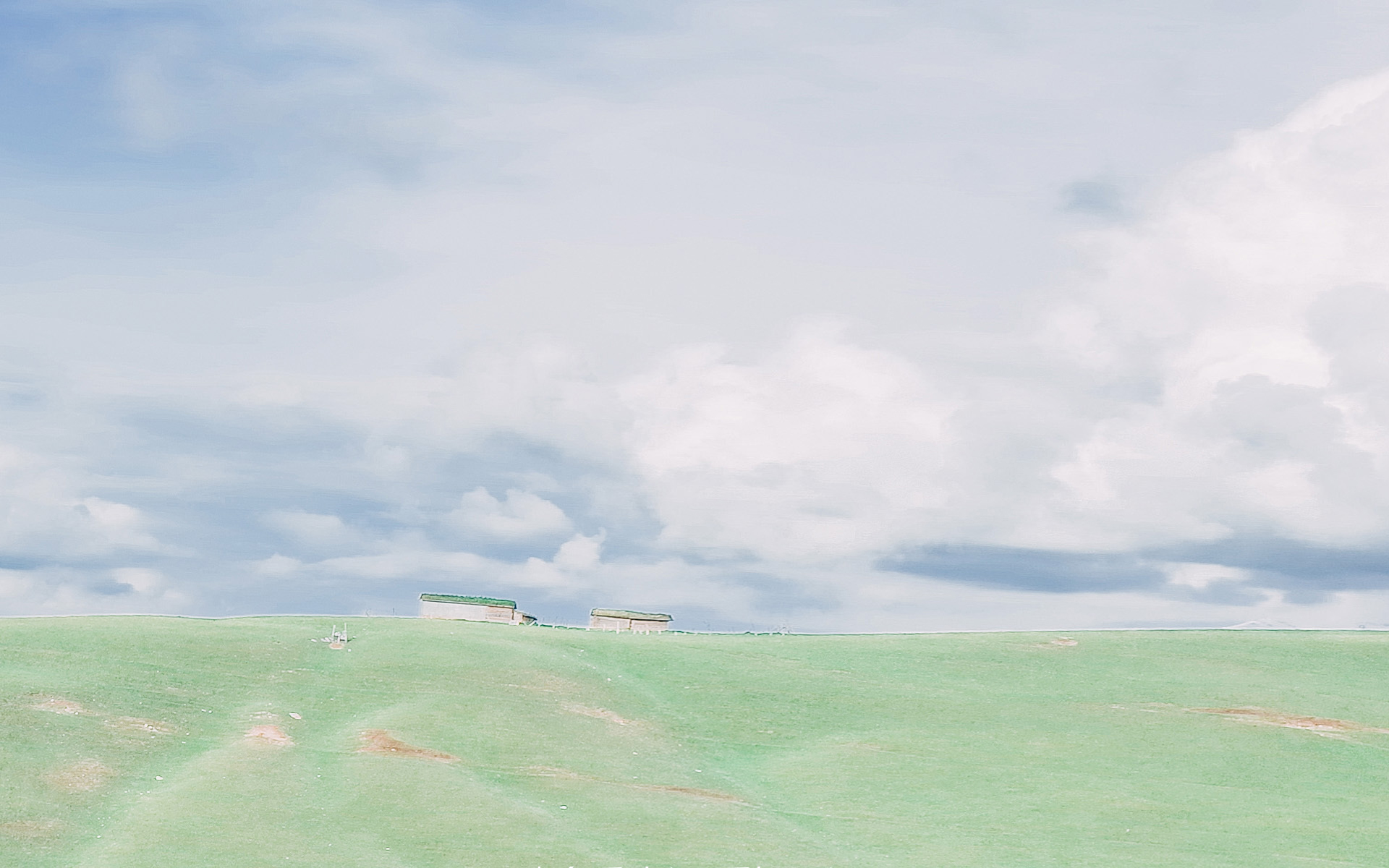 小清新草原简约唯美高清桌面壁纸高清大图预览1920x1200_植物壁纸下载