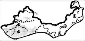 人教版2018届八年级下地理专题训练(西北地区区域特征)