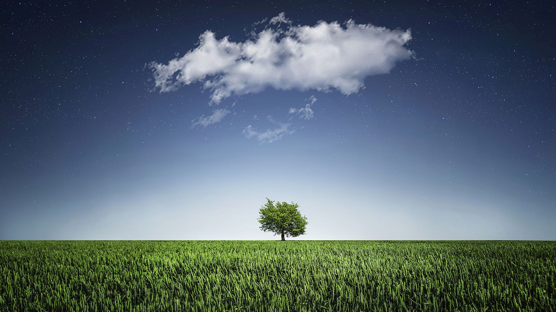 让人一看就心情舒畅的原野风光壁纸