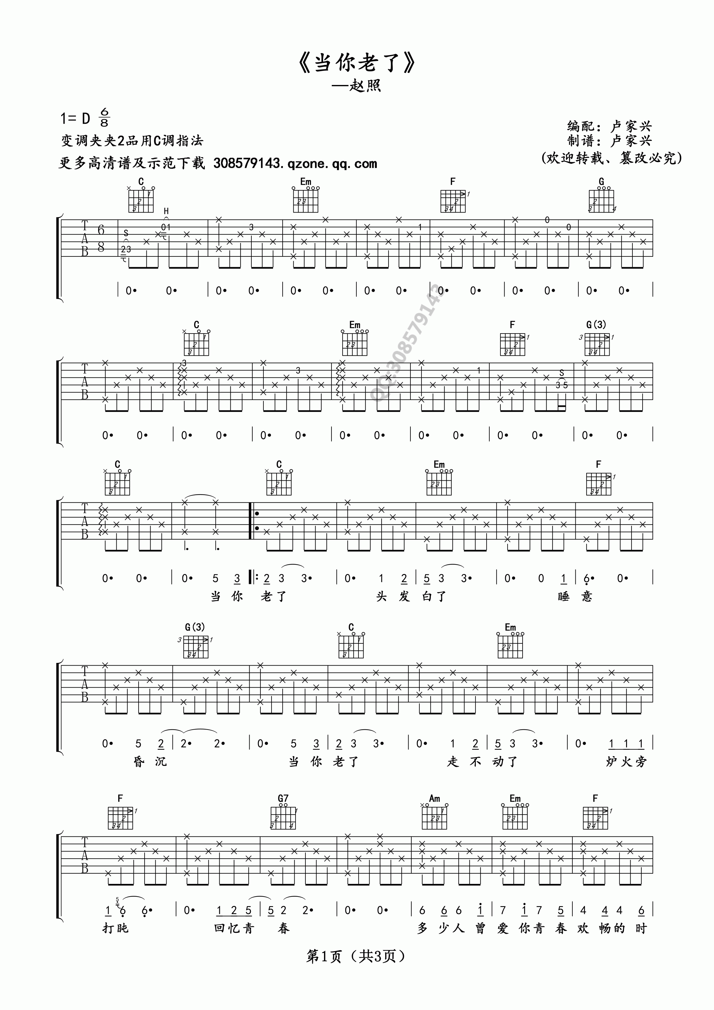 赵照 当你老了吉他谱 c调卢家兴编配版