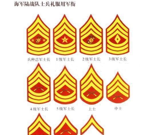 美军海军陆战队军衔图解