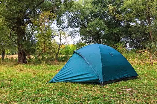 旅游,帐蓬,树林,场景,牧场