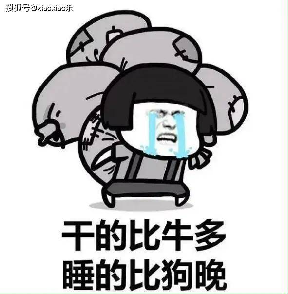 全网超火的幽默段子,看一次笑三天,一口气看完算你有本事!