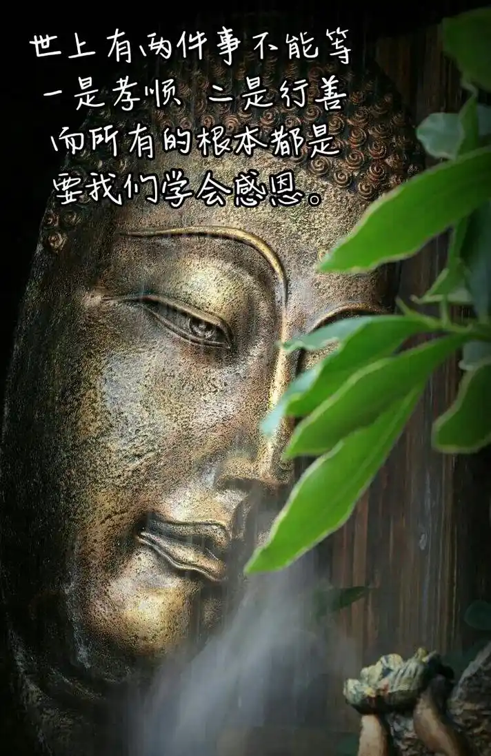 佛说:"前路也许坎坷,但你只管善良;上天不给你想要的,是因为 - 抖音