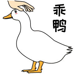 开心鸭子1-微信表情包
