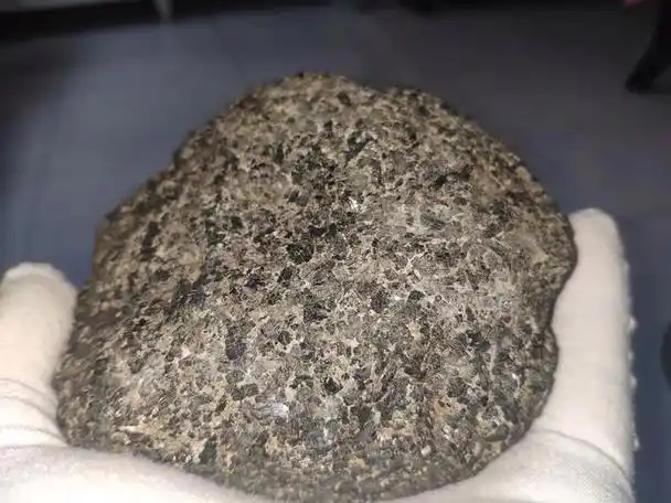 国际著名的 火星陨石 斜方辉岩质无球粒陨石