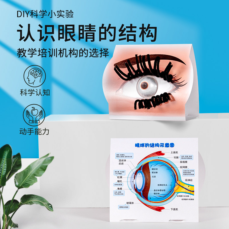 科学实验小制作认识眼睛模型拼装diy手工教材料幼儿园小学生教具