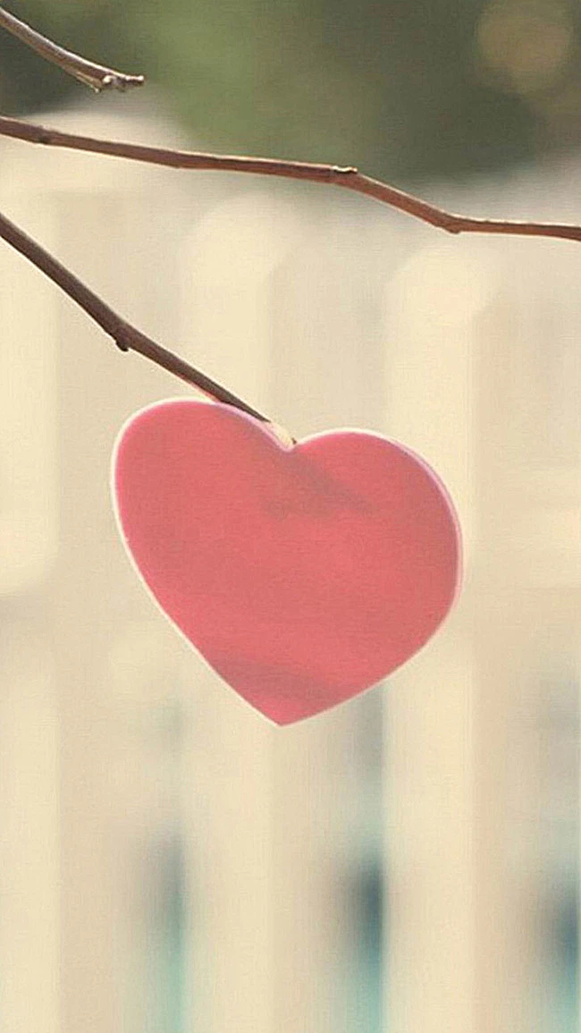 简约文艺爱心爱情h5背景
