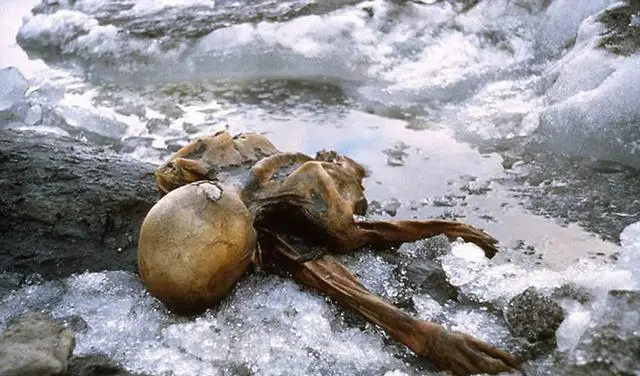 首个现身的时间旅行者诸多不解之谜到底是巧合还是证据