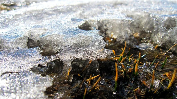 雪融化了是春天