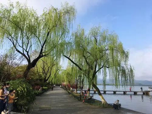 西湖春色