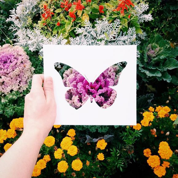 来自俄罗斯艺术家nikolai tolstyh的创意剪纸.