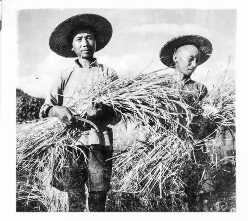 历史影像:20世纪50年代光泽农村